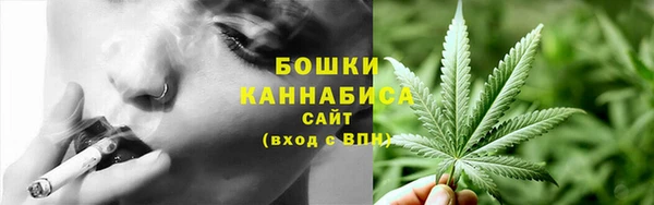 прущие крисы Алексин