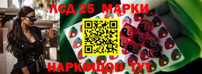 ПСИЛОЦИБИНОВЫЕ ГРИБЫ Заволжье