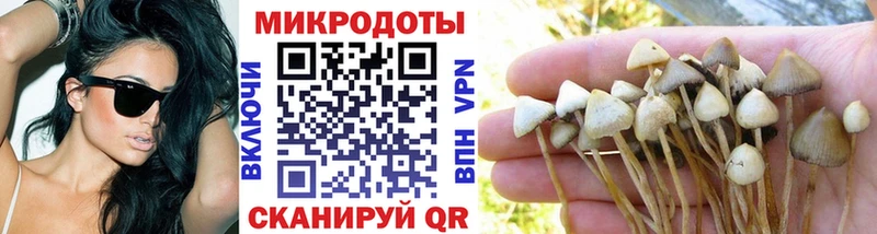 кракен зеркало  Ливны  Галлюциногенные грибы ЛСД 