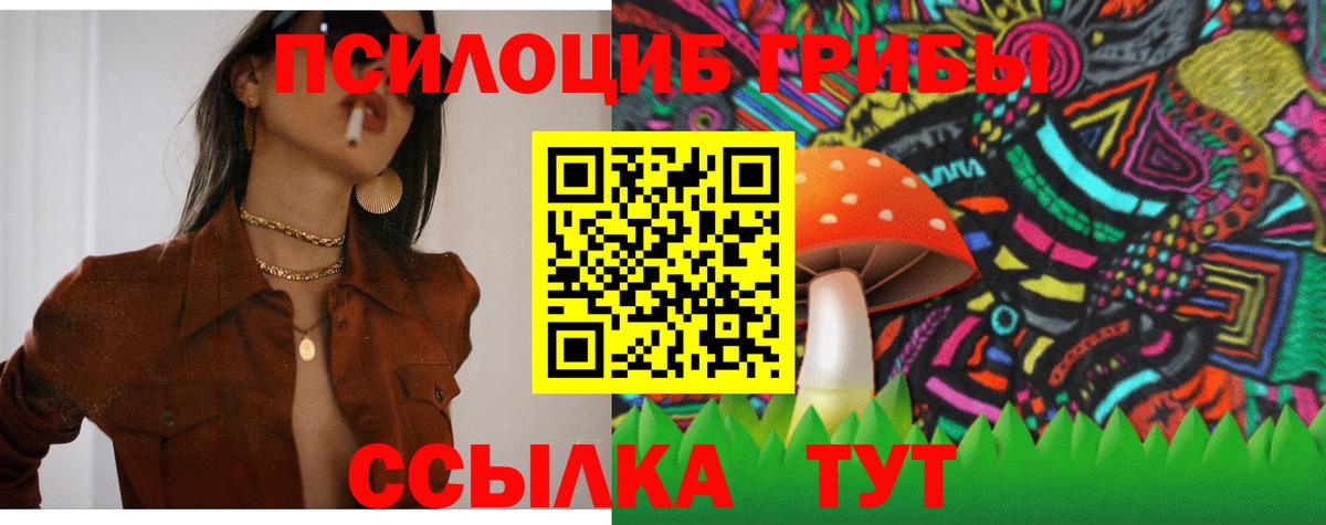 Ливны  Псилоцибиновые грибы MAGIC MUSHROOMS  Вход с VPN  Псилоцибиновые грибы Psilocybe 